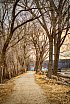 Canal Path - Spring Birds and Wildlife at the Kaukauna Canal