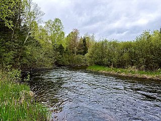 River View - iPhone 16 Pro Max Samples