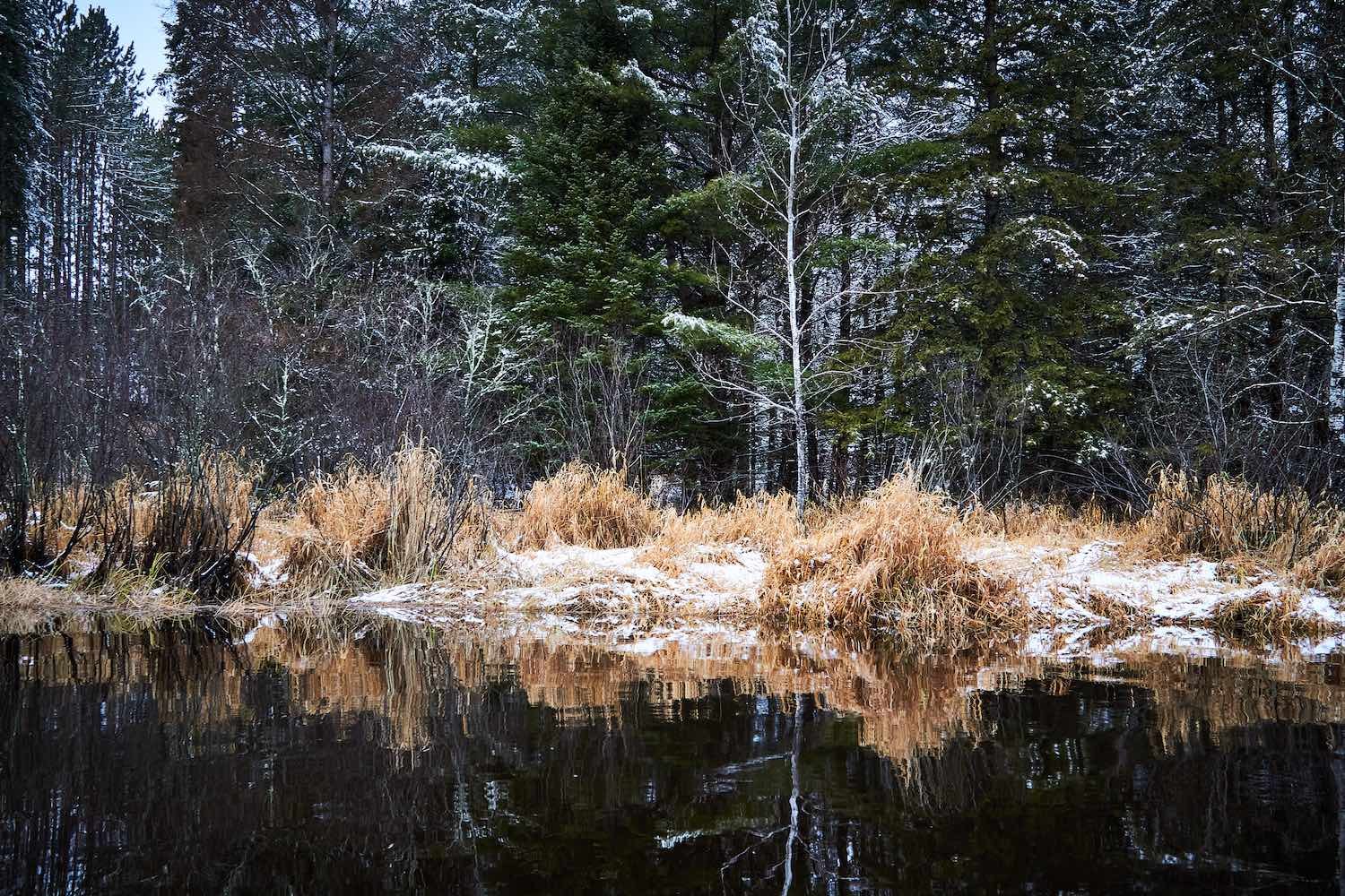 Shore Grass - Winter Kayaking Landscape Photography with the Canon 7D