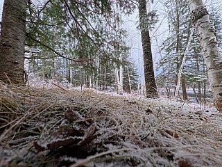 Low Viewpoint - Insta 360 Ace Pro 2 Samples