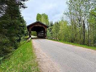 Forest Bridge - iPhone 16 Pro Max Samples