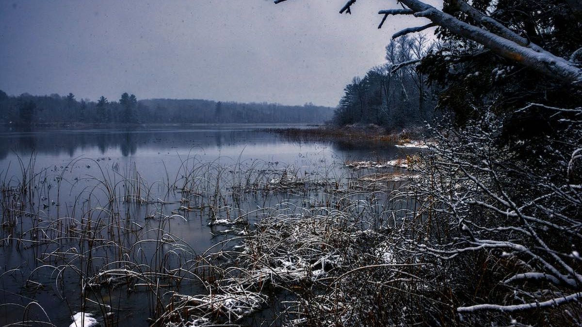 Winter's first snowfall along a wild lakeshore in the Northwoods of Wisconsin